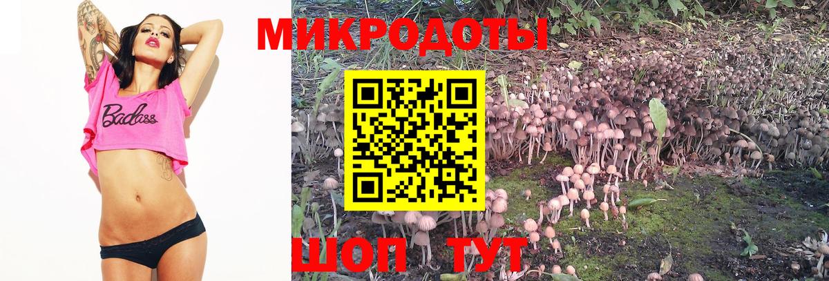 Темрюк  Псилоцибиновые грибы Psilocybe  Вход с VPN 